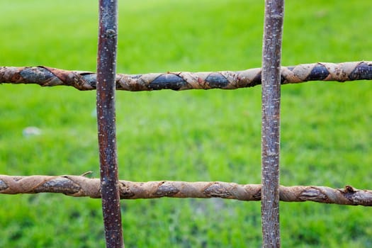 Willow fence wickerwork made of wicker