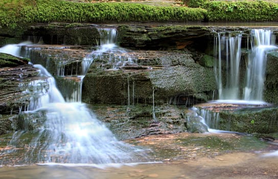 Water the life