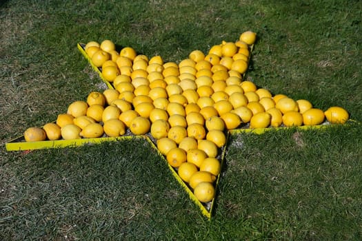 Lemon Star