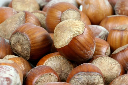 Hazelnuts