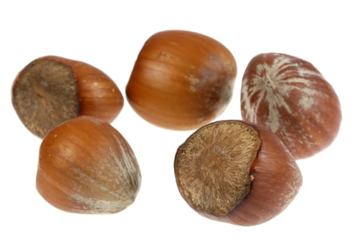 Hazelnuts