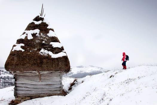 Wooden cottage in Transylvania