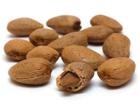 Almonds (prunus fruticosa)