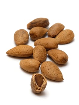 Almonds (prunus fruticosa)