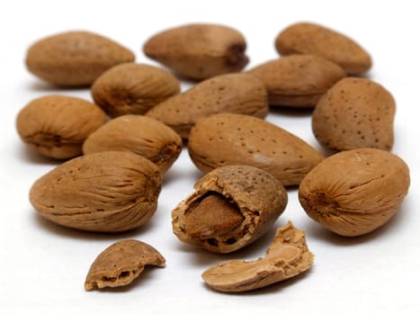 Almonds (prunus fruticosa)