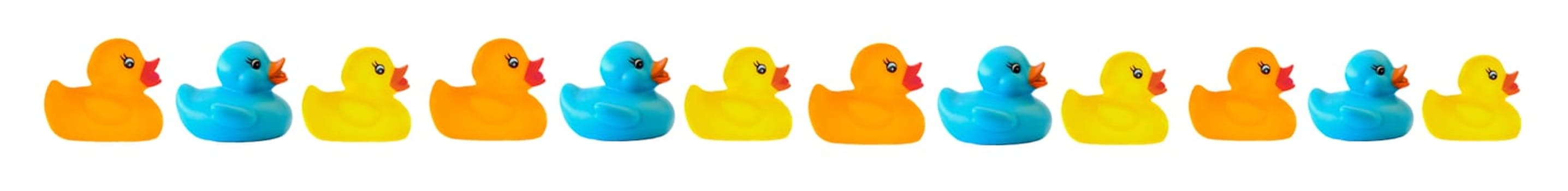 Many ducks of differents colors