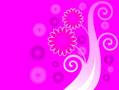 decoration