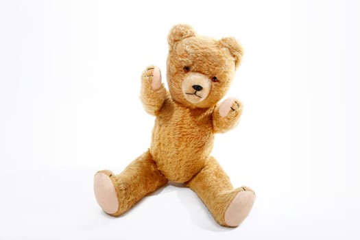 Teddy