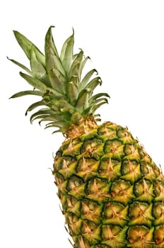 Isolated pineapple