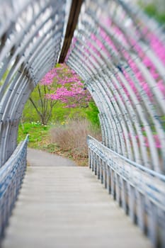 Bridge