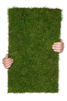 grass piece