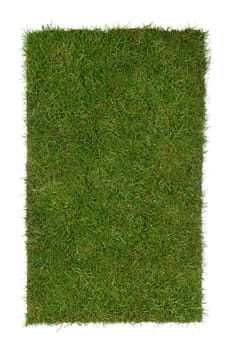 grass piece