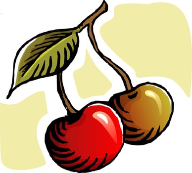 Fruit