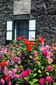 Bunch of flowers