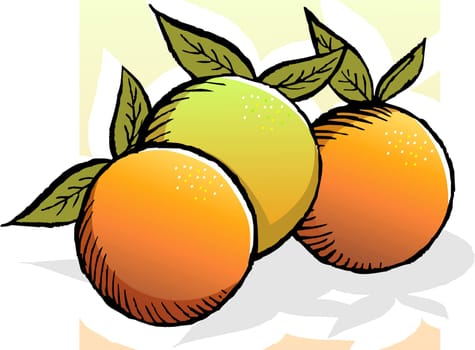 Illustration of orange and leafs