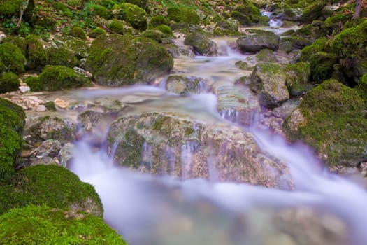 Stream