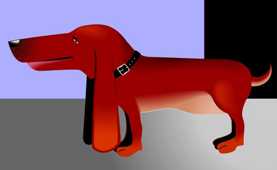 dog