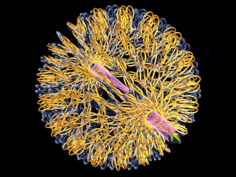Virus - Molecule - 3D