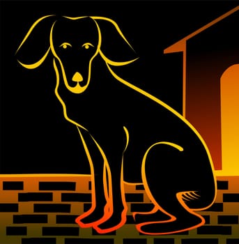 dog