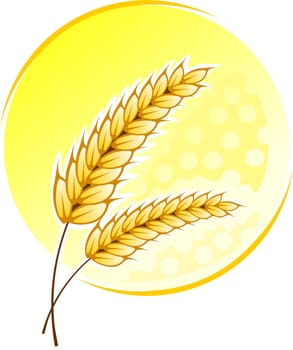 Wheat