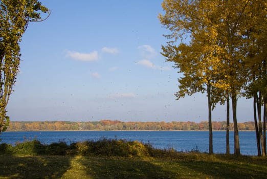Autumn on the Havel