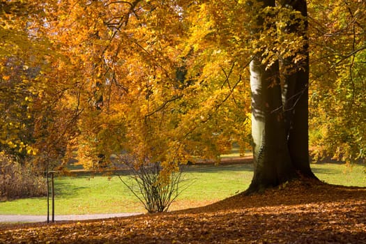 Gold Park