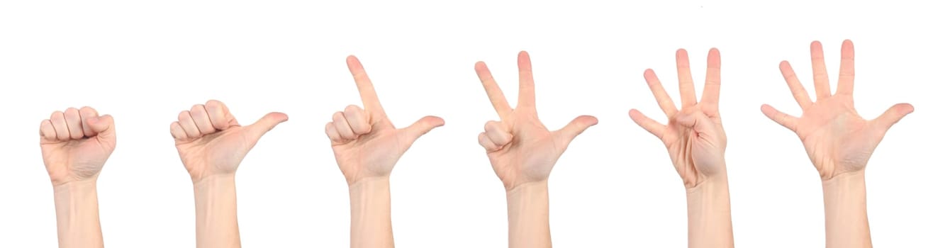 Hands