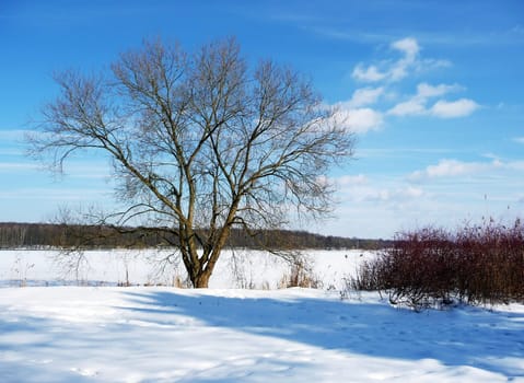 Jungfernsee