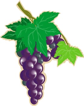 Grapes