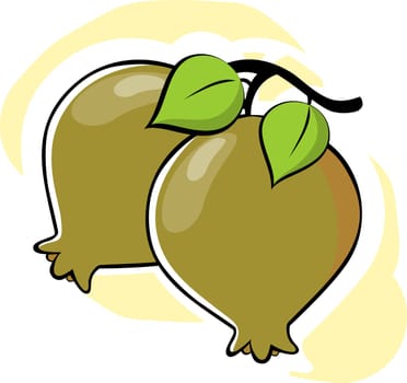 guava