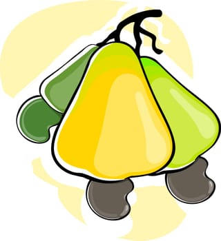 cashew