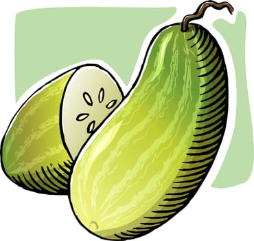 Cucumber