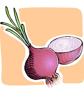 Onion