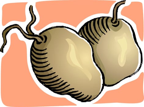 Potato