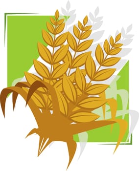 grain