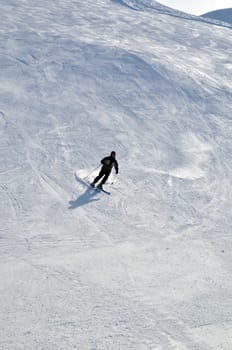 Skier in powder snow