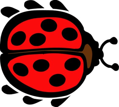 Ladybird