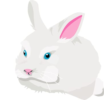 White rabbit