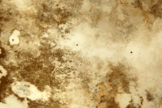 mold texture