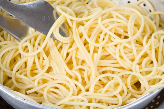 Spaghetti up close