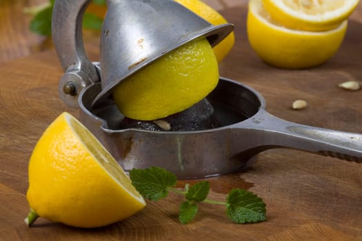 Press and lemon balm