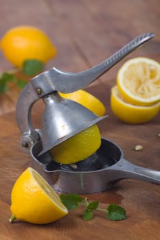 Lemon squeezer high