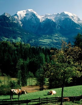 Bavarian Landscape