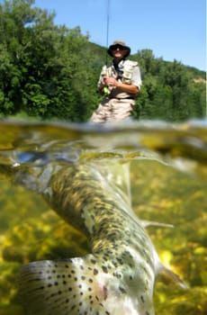 Fishing