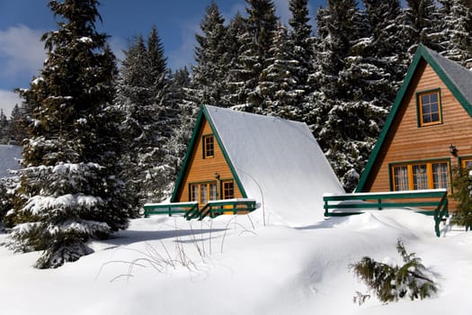 Winter