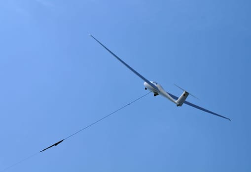 Glider