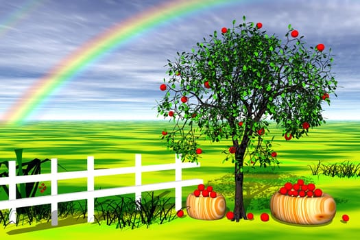 Apple tree