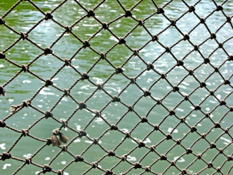 Rope Net