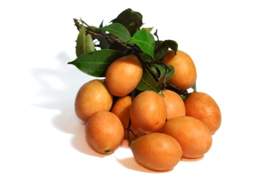 Exotic Thai Fruit. Maprang, Marian plum, Gandaria, Marian mango, Plum mango