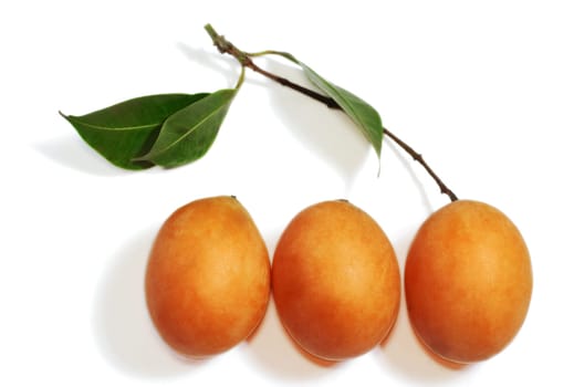 Exotic Thai Fruit. Maprang, Marian plum, Gandaria, Marian mango, Plum mango
